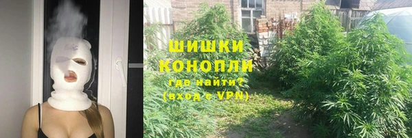 гидра Иннополис