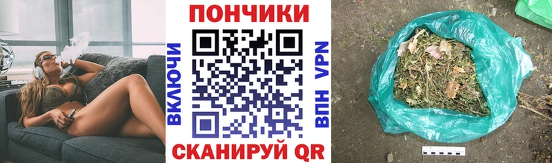 Купить где  Домодедово  МАРИХУАНА ГИДРОПОН 